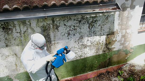 Top rated local Mold Testing specialists in Portland, OR